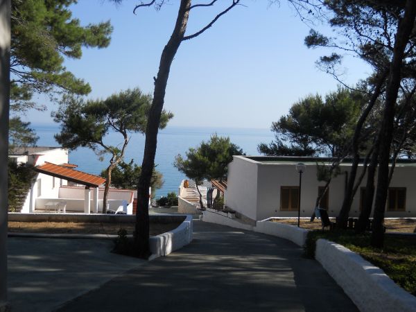 Sentiero verso il mare tra pini e edifici bianchi.
