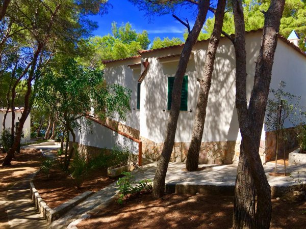 Esterno di una casa bianca immersa tra gli alberi.