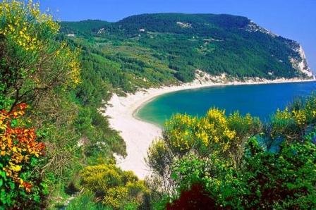 Spiaggia bianca circondata da colline verdi e piante colorate.