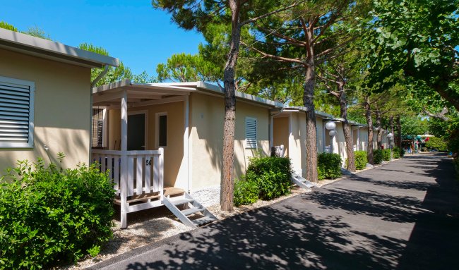 Villette beige con verande, vialetto ombreggiato da alberi.