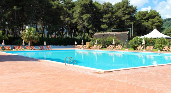 Piscina all'aperto circondata da lettini e ombrelloni, con alberi sullo sfondo.