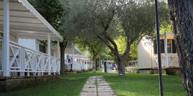 Sentiero tra villette con tettoie e alberi rigogliosi.