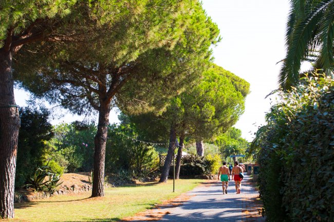 Due persone camminano lungo un sentiero alberato immerso nella natura.