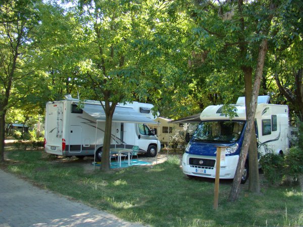 Due camper parcheggiati in un'area ombreggiata con alberi e prato.