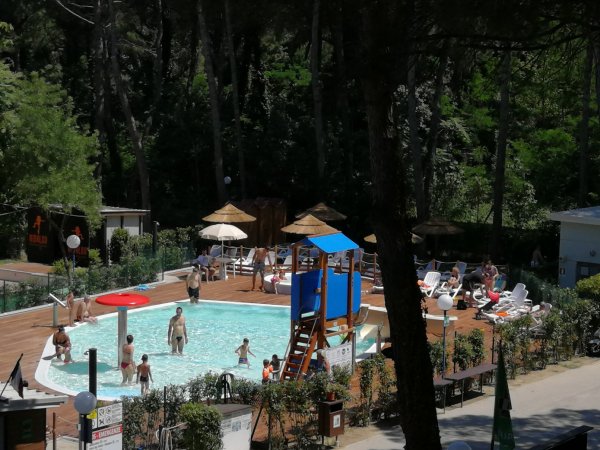 Piscina all'aperto con persone che nuotano, circondata da alberi e lettini.
