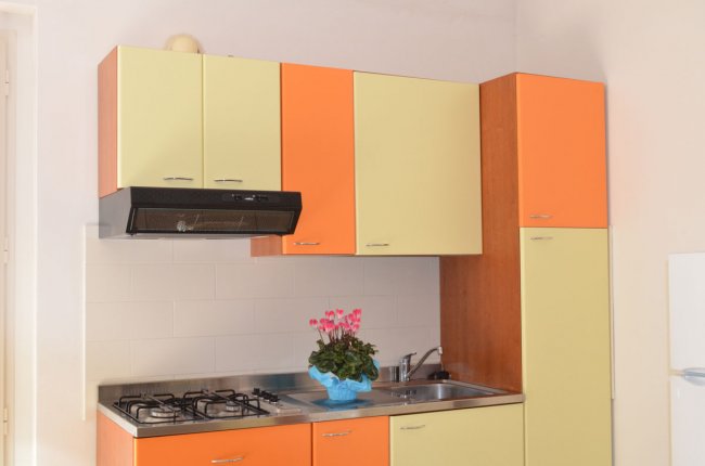 Cucina con armadietti multicolore, fornelli, lavello e una pianta fiorita al centro.