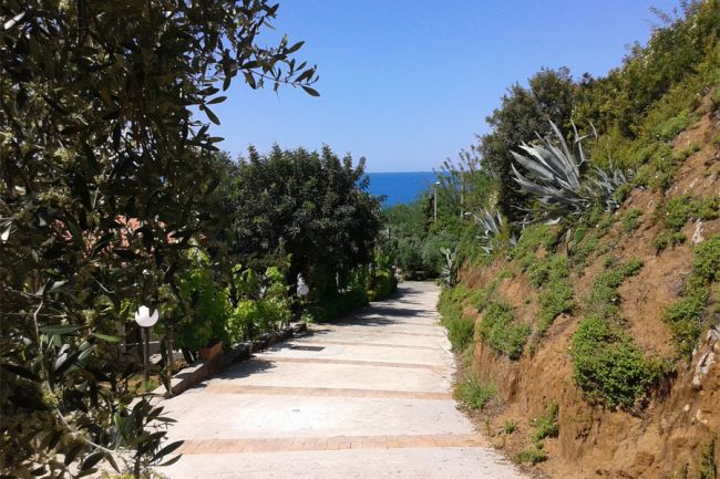 Un sentiero fiancheggiato da vegetazione, che si apre verso il mare blu in lontananza.