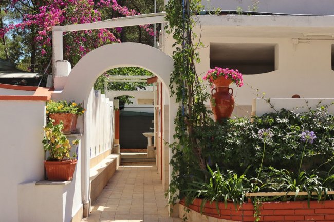 Giardino con pergolato e piante fiorite vicino a un edificio.