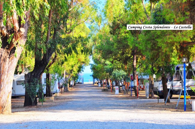 Viale alberato con roulotte, che conduce verso il mare.