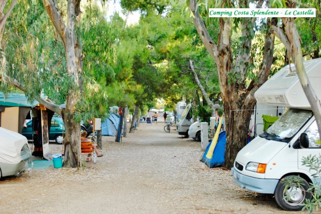 Un viale alberato con camper e tende su entrambi i lati.