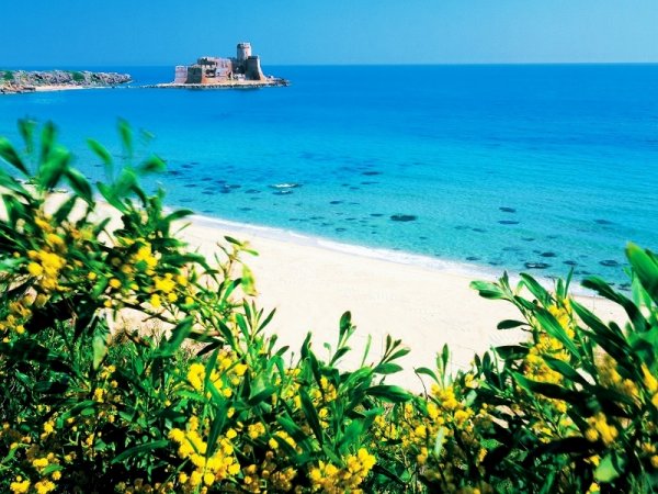 Spiaggia con sabbia bianca, mare turchese e fiori gialli in primo piano, castello in lontananza.