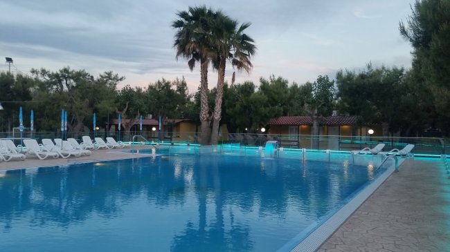 Piscina scoperta circondata da lettini e palme al tramonto.