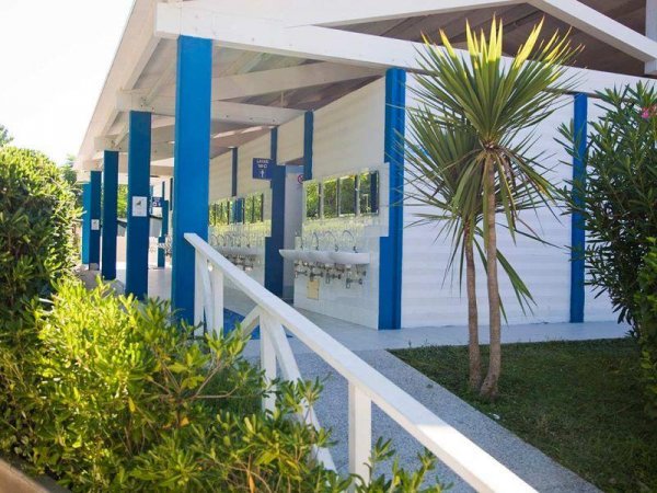 Bagni pubblici con lavandini esterni in un'area verde con piante.