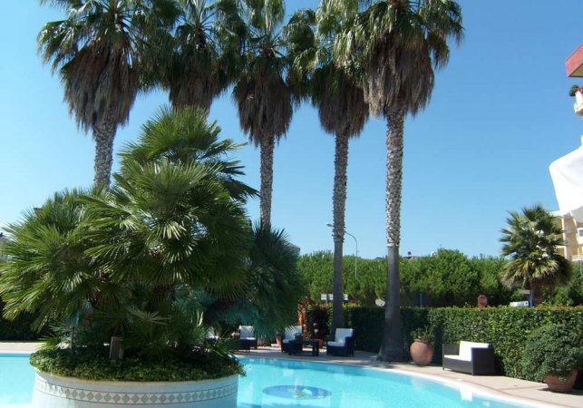 Piscina circondata da palme e arredamenti esterni.