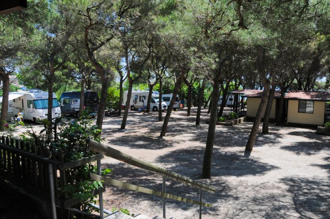 Una piazzola di campeggio con camper parcheggiati tra gli alberi.