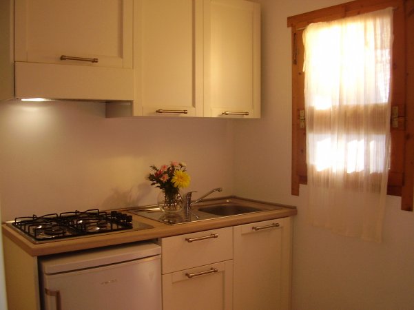 Una cucina bianca con fornelli, lavandino e fiori sul piano di lavoro.