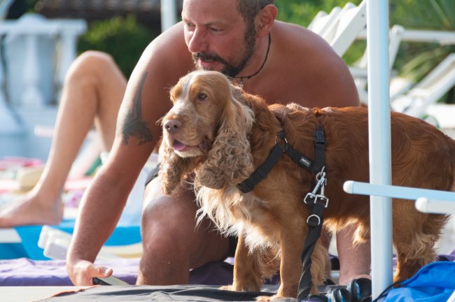 Un uomo con un cane marrone su un telo da spiaggia.