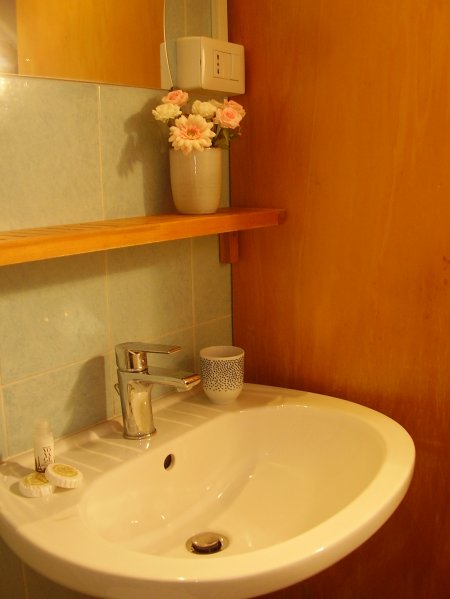 Lavabo con specchio e fiori in vaso su mensola.