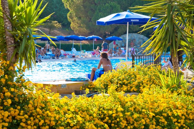 Piscina con persone e ombrelloni blu, circondata da piante verdi e fiori gialli.