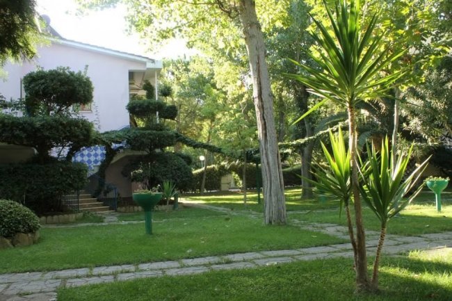 Giardino verde con sentieri e alberi.