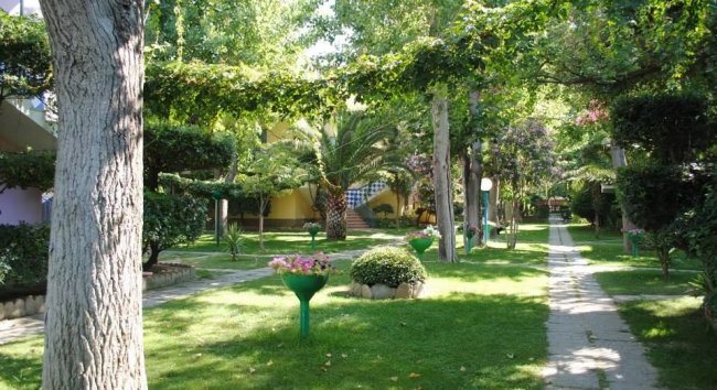 Giardino verde con vialetto tra alberi e piante.
