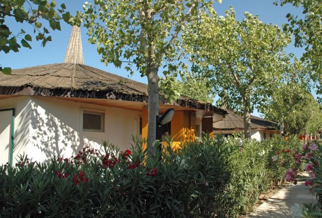 Un edificio con tetto in paglia, circondato da alberi e arbusti in fiore, in una giornata di sole.