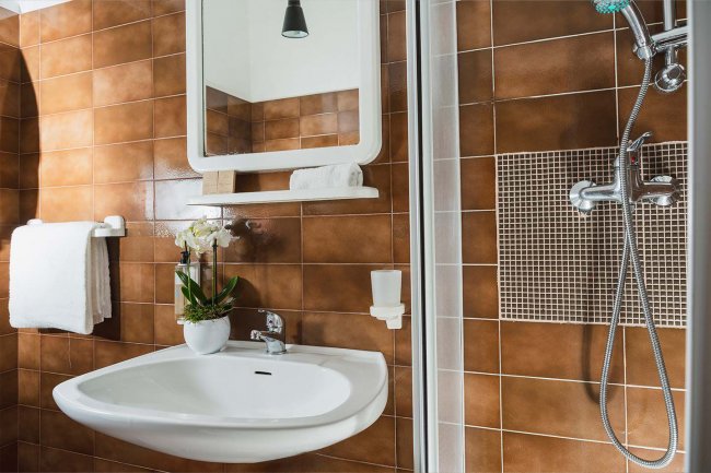 Bagno con piastrelle marroni, lavandino, specchio, doccia e fiori in vaso.