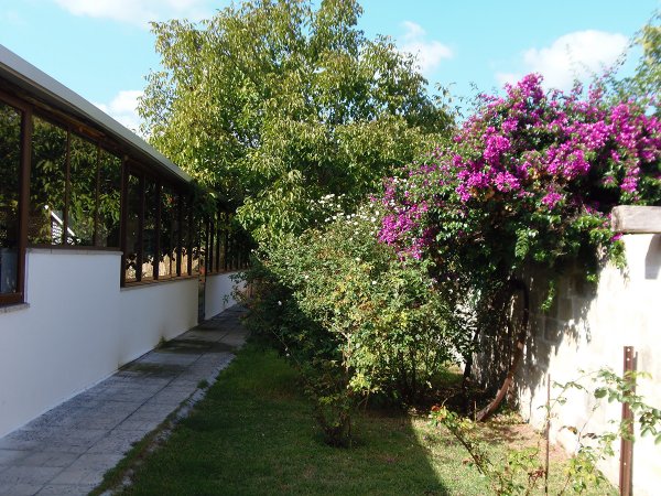 Giardino con cespugli di fiori viola e un sentiero accanto a un edificio.