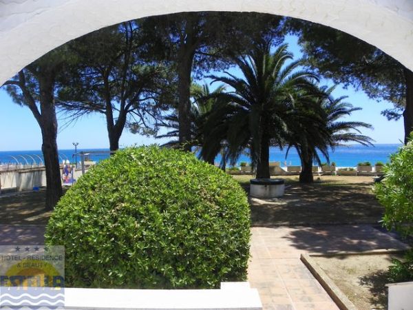 Vista mare da una terrazza con palme e cespugli in primo piano.
