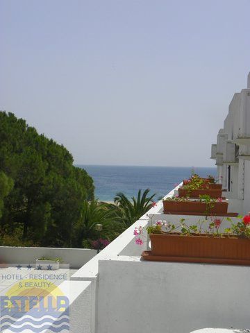 Balcone con vasi di fiori e vista sul mare e la vegetazione.