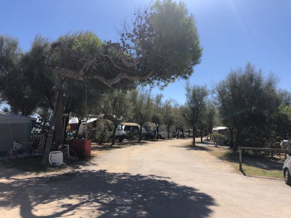Una strada sterrata tra alberi, con tende e roulotte ai lati sotto un cielo sereno.