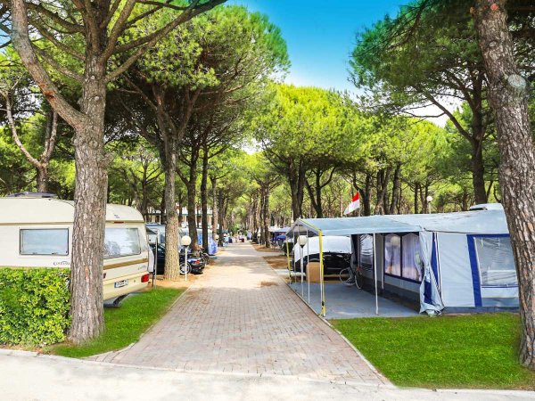 Strada acciottolata tra piazzole con roulotte e tende all'ombra di alti alberi verdi.